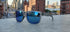 Shumo Sunglasses