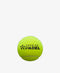 Premier Padel Speed Ball
