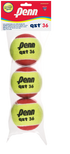 Penn QST 36 Felt Balls
