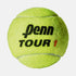 Penn Tour Extra Duty Felt Tennis Balls (Case)