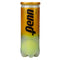Penn Tour Extra Duty Felt Tennis Balls (Case)