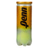 Penn Tour Extra Duty Felt Tennis Balls (Case)