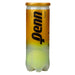 Penn Tour Extra Duty Felt Tennis Balls (Case)