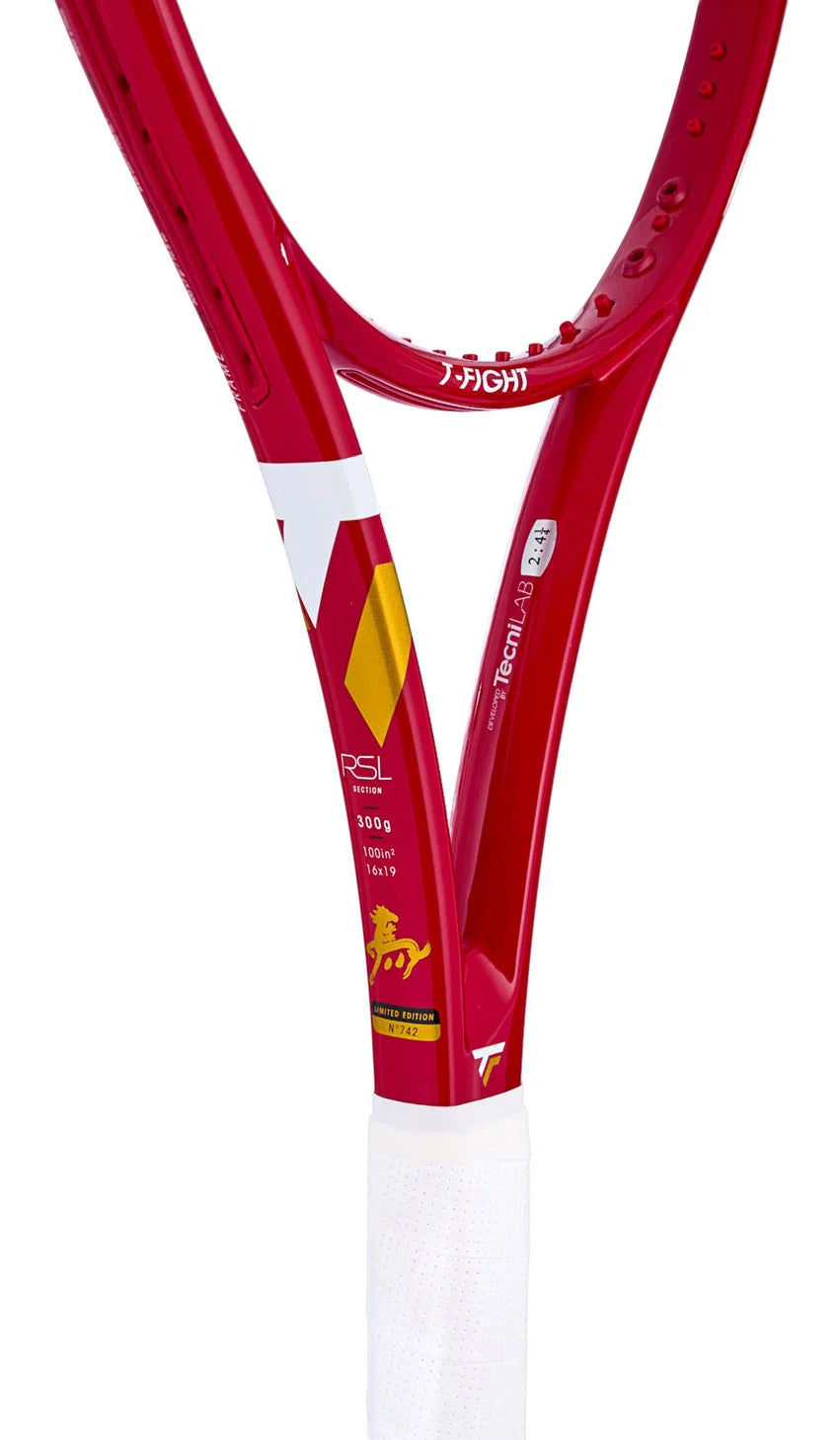 T-Fight 300 Spring Festival