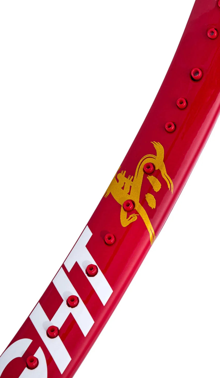 T-Fight 300 Spring Festival