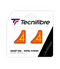 Tecnifibre Eiffel Tower IG Dampener (2 Pack)